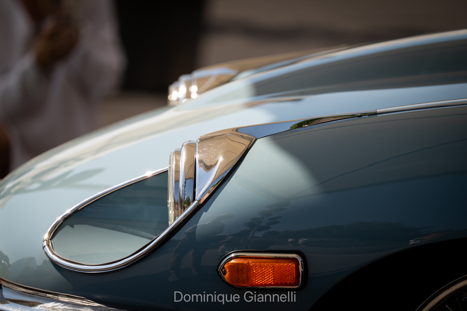 photo Giannelli4607.jpg